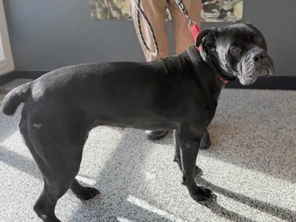 Mercedes thumbnail 2