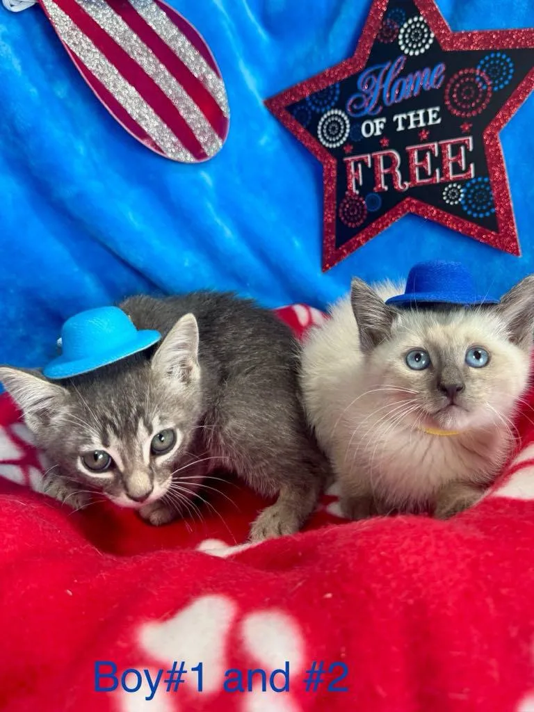 Bon Jovi thumbnail 3