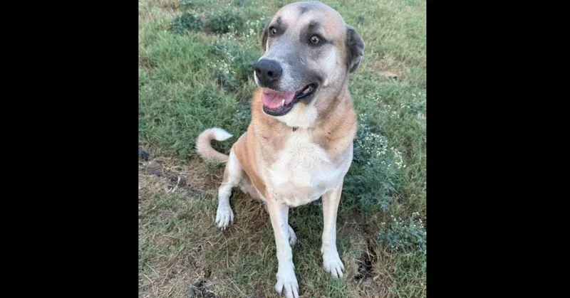 Mable Jane AKA MJ
