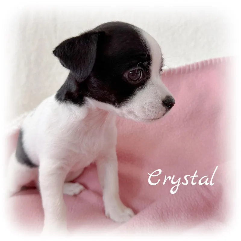 Crystal thumbnail 2