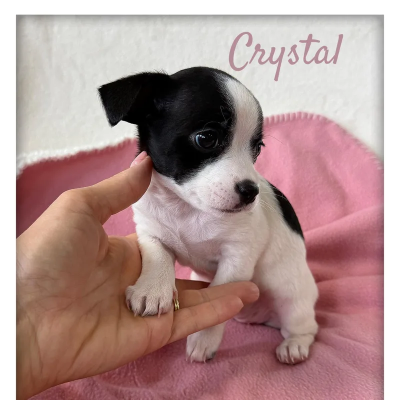 Crystal thumbnail 3