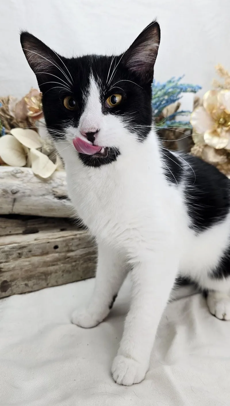 Stew  The  thumbnail 6