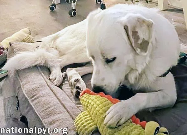 Charlie In Va  thumbnail 2