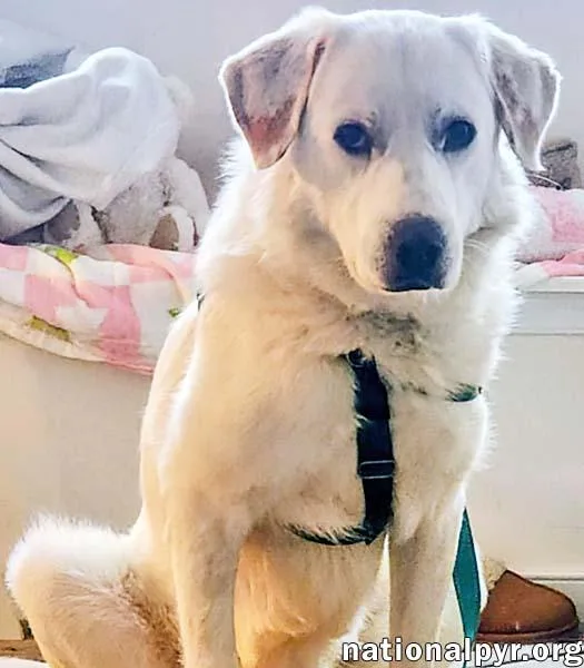 Charlie In Va  thumbnail 3