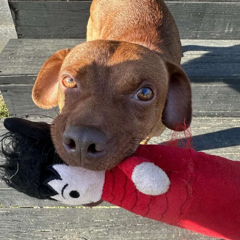Sam