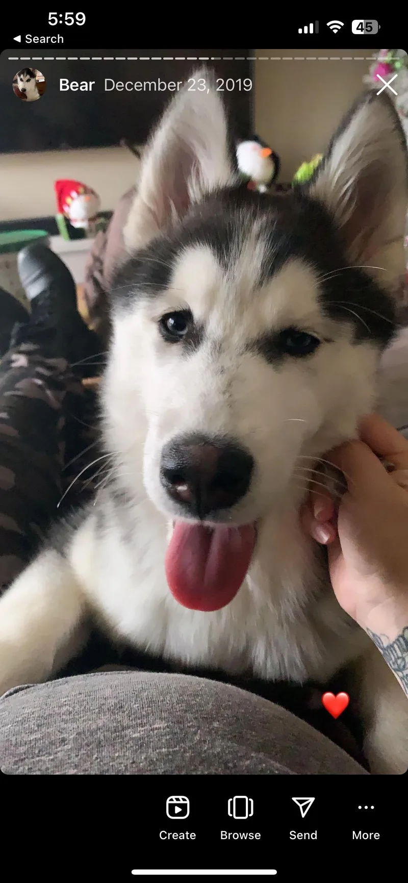 Little Bear thumbnail 2