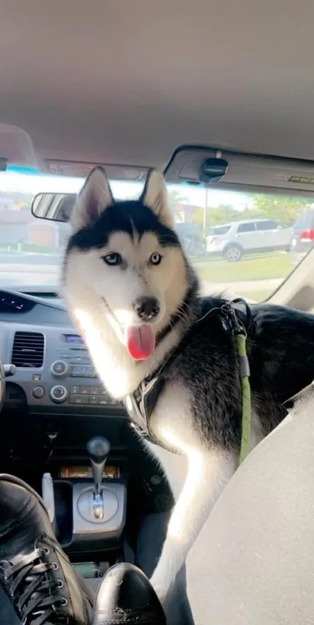 Little Bear thumbnail 3