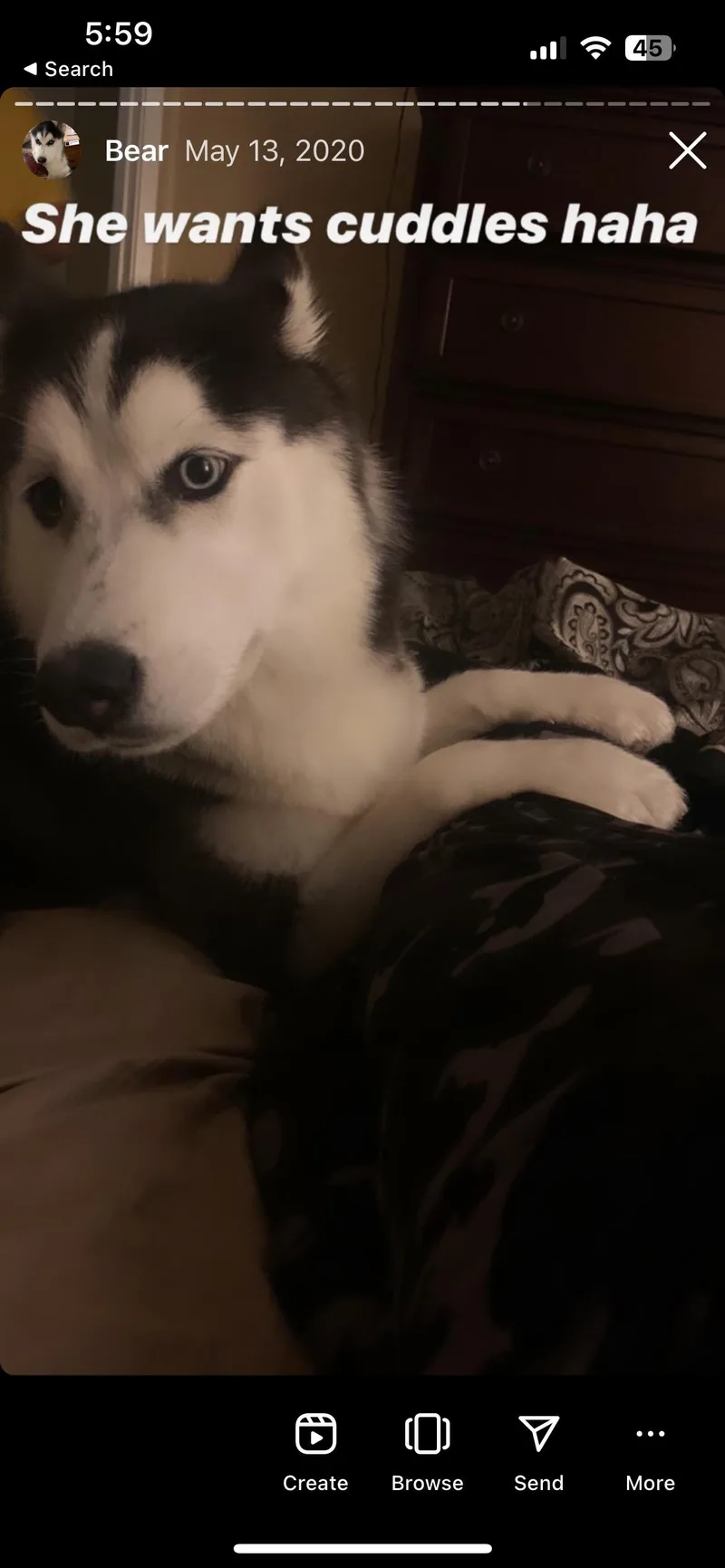 Little Bear thumbnail 5