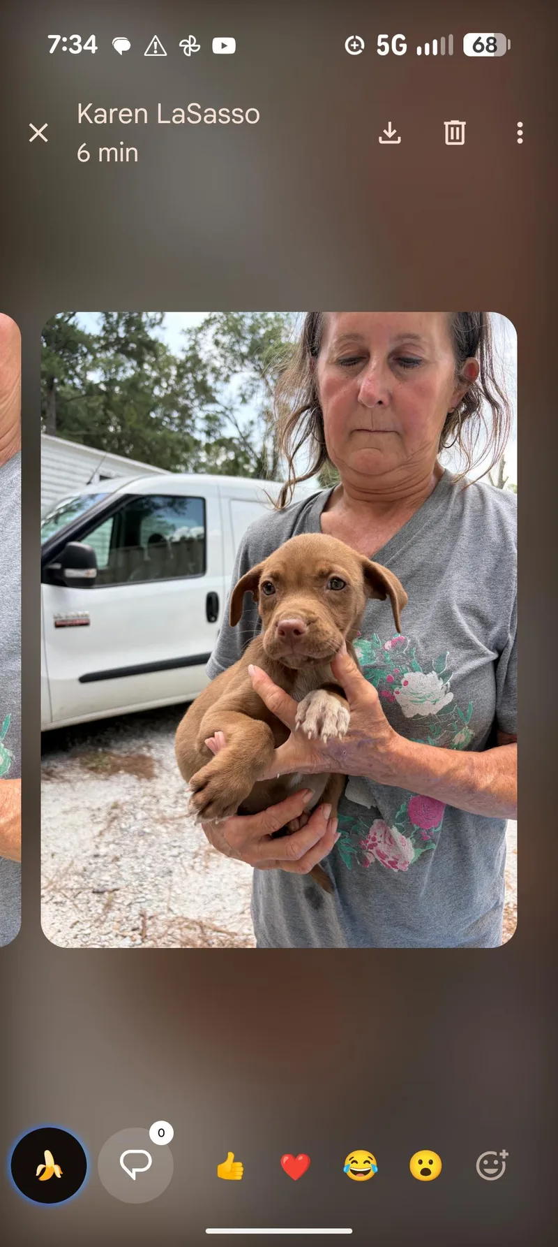 A baby medium-sized female Golden Pit Bull Terrier dog named Pepper  Cinnamon  for adoption in Browns Mills, NJ