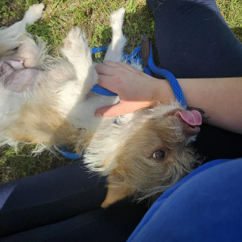 Emma thumbnail 5