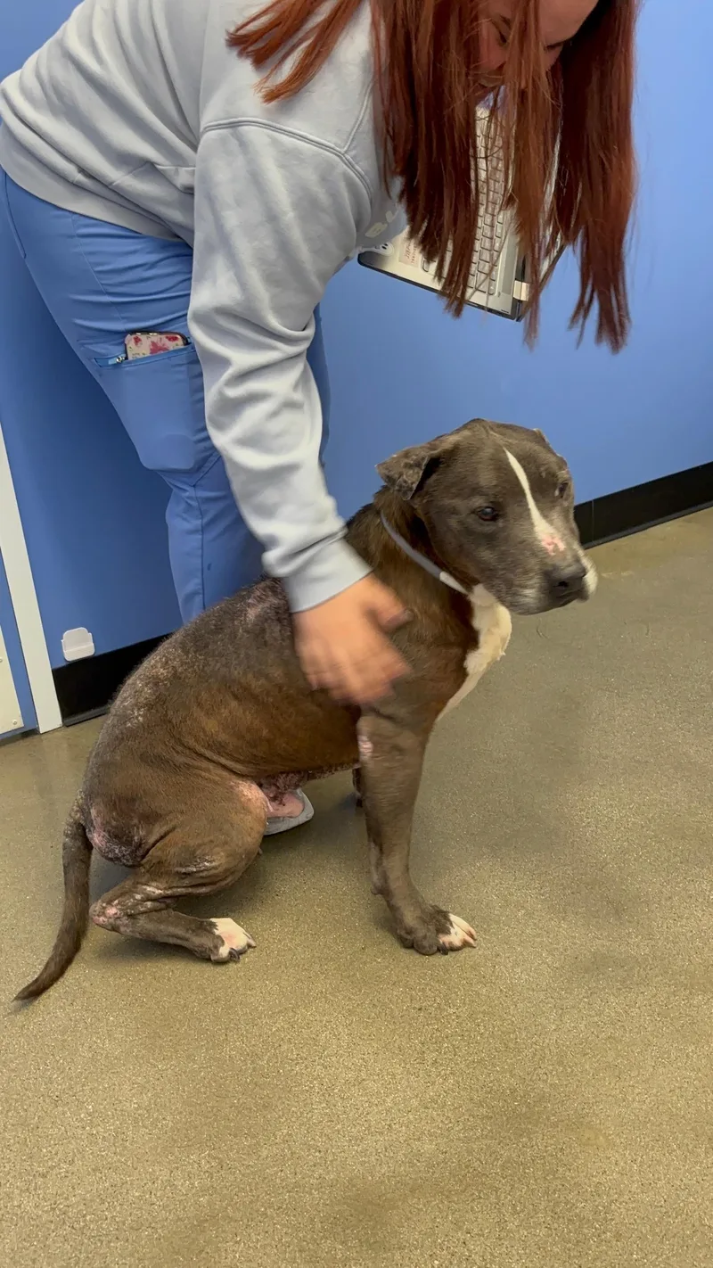 Carebear thumbnail 2