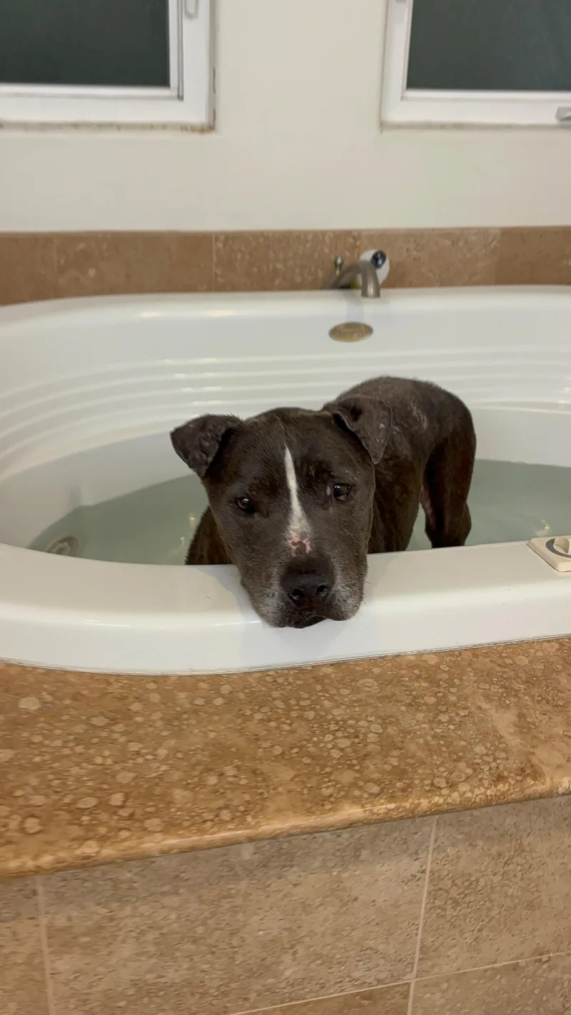 Carebear thumbnail 3