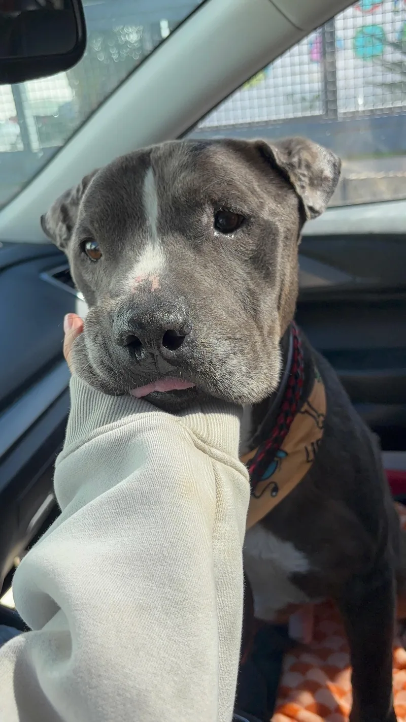 Carebear thumbnail 4