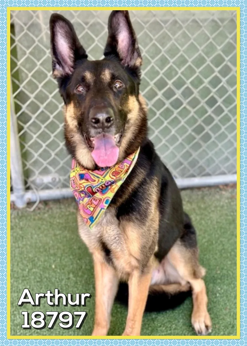 Arthur