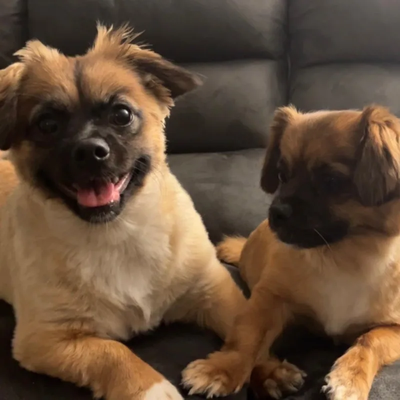 Max And Isabel
