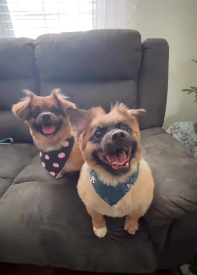 Max And Isabel thumbnail 2