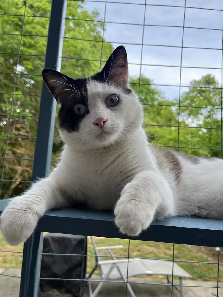 Caneread My Bio Before