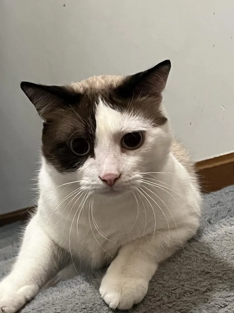 Caneread My Bio Before thumbnail 2