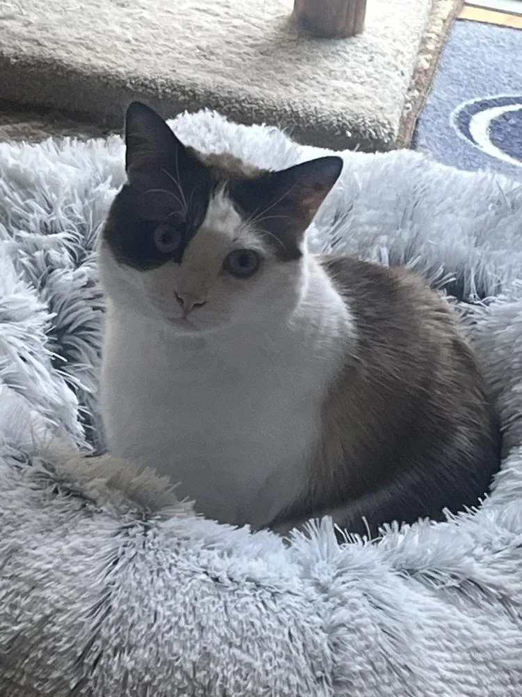 Caneread My Bio Before thumbnail 3