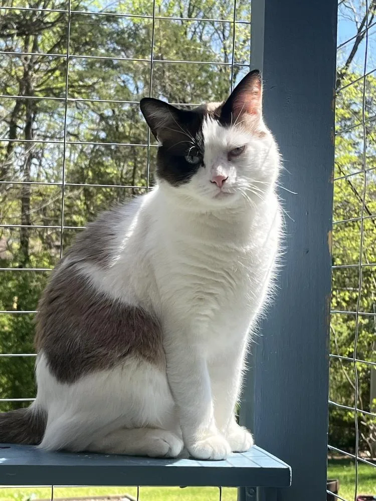 Caneread My Bio Before thumbnail 5