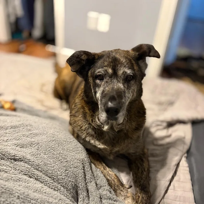 Elizabeth thumbnail 6