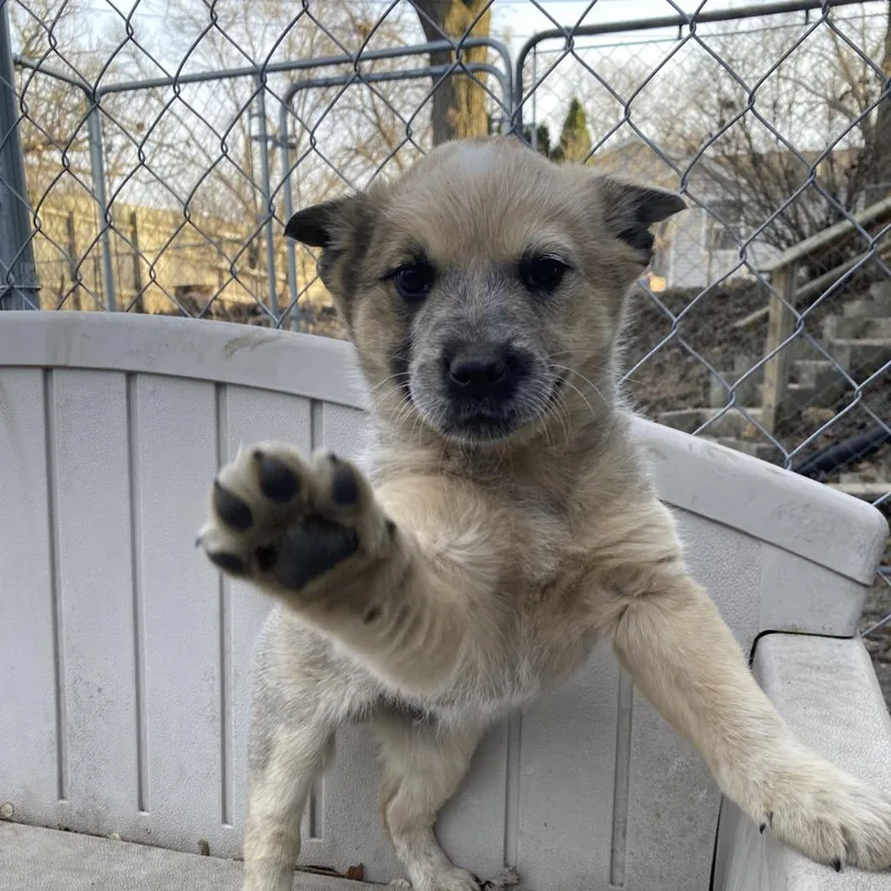 Travis Brody thumbnail 2