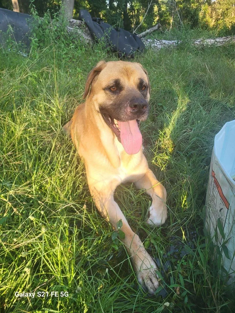 Tiny The 'lil Biggie thumbnail 2