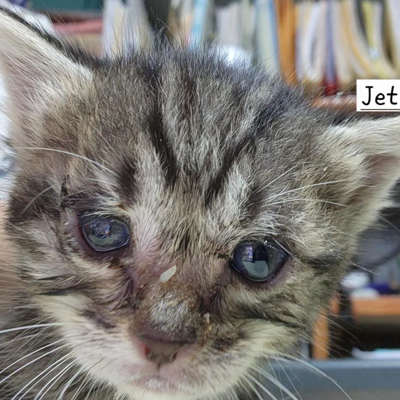 Bjethro thumbnail 3