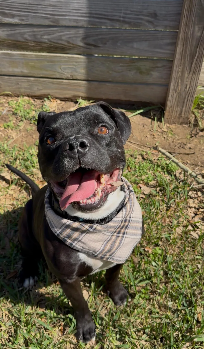 Aiden Mcready thumbnail 3