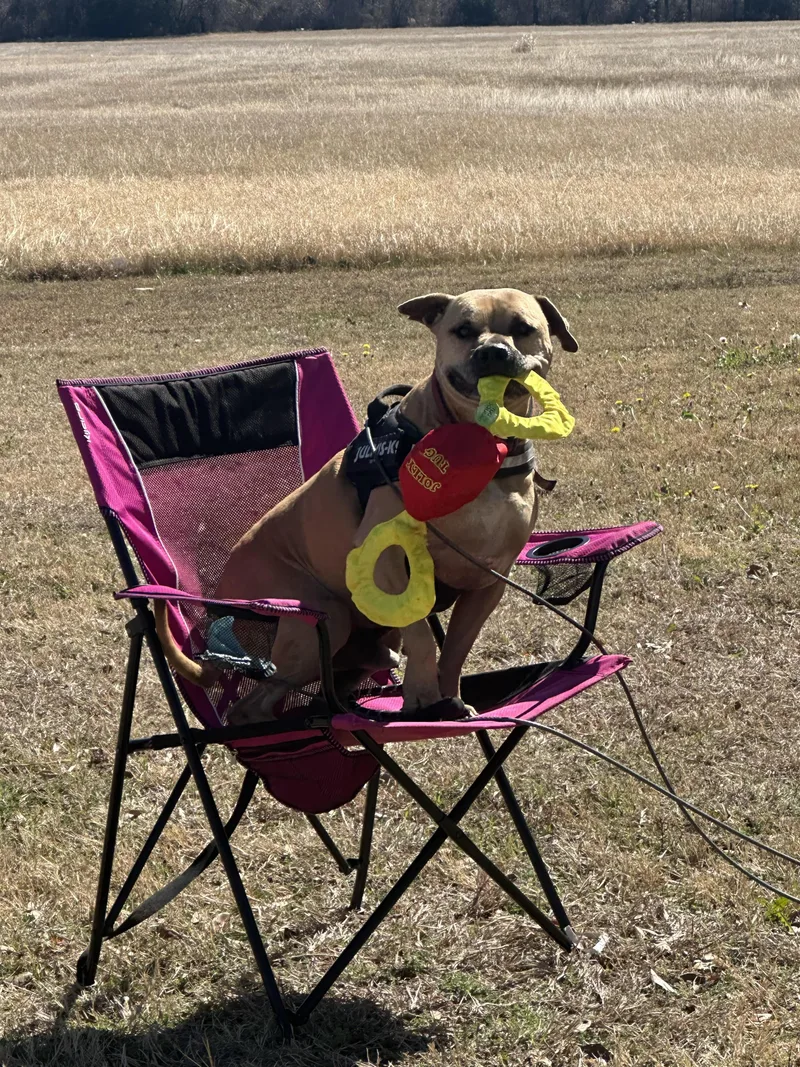 Wesleywonderfully Sweet thumbnail 2