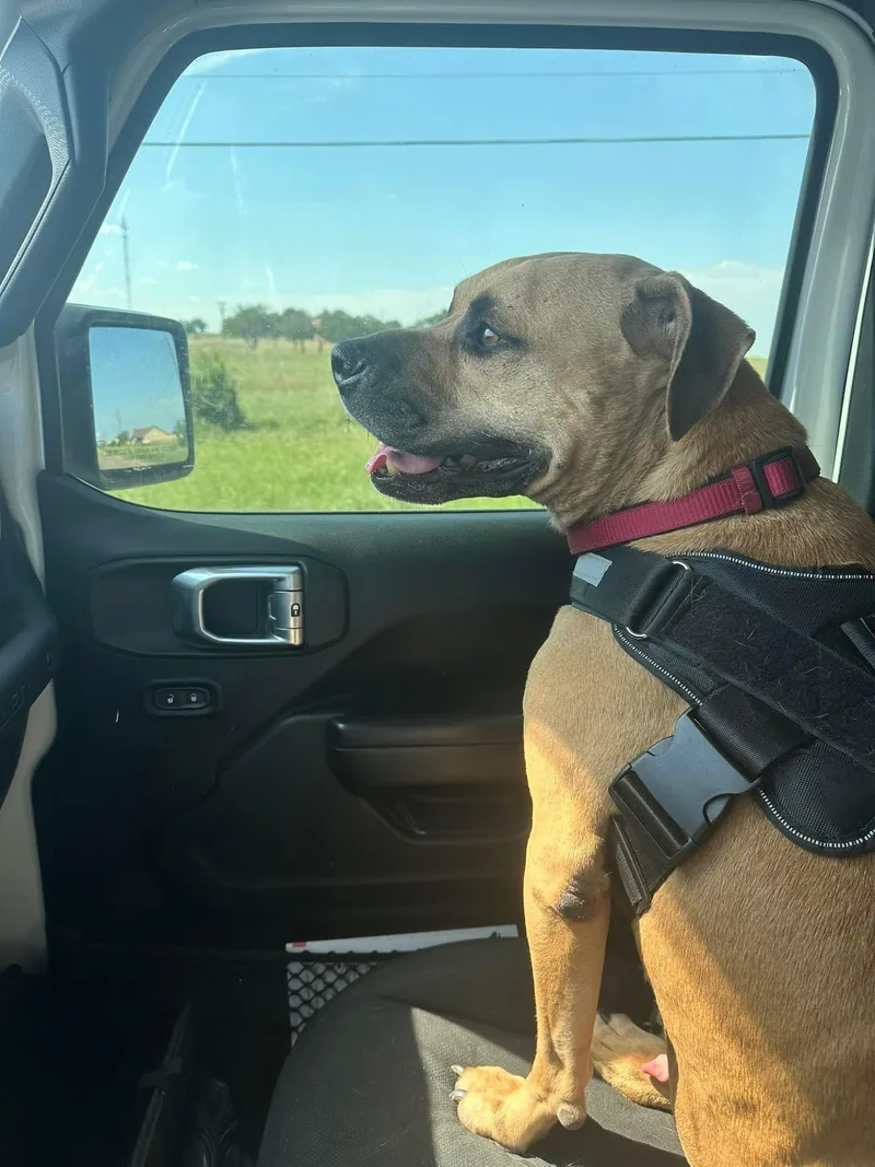 Wesleywonderfully Sweet thumbnail 3