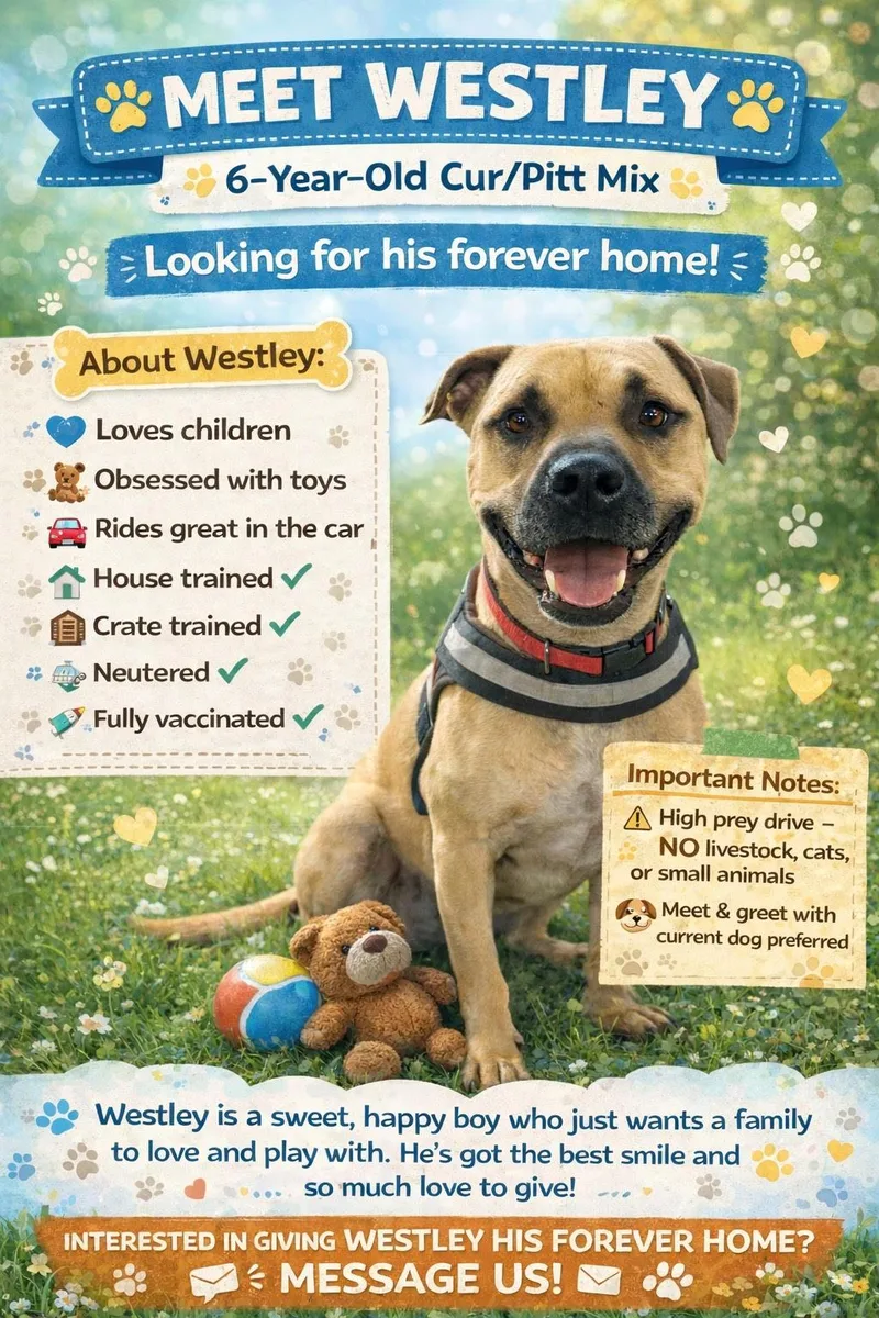 Wesleywonderfully Sweet thumbnail 5