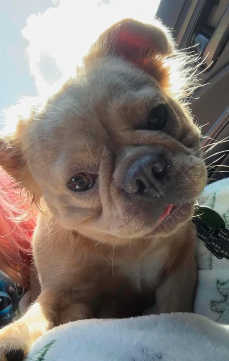 Maddie thumbnail 3