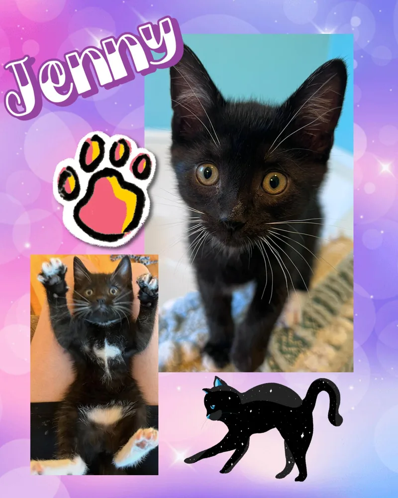 Jenny thumbnail 2