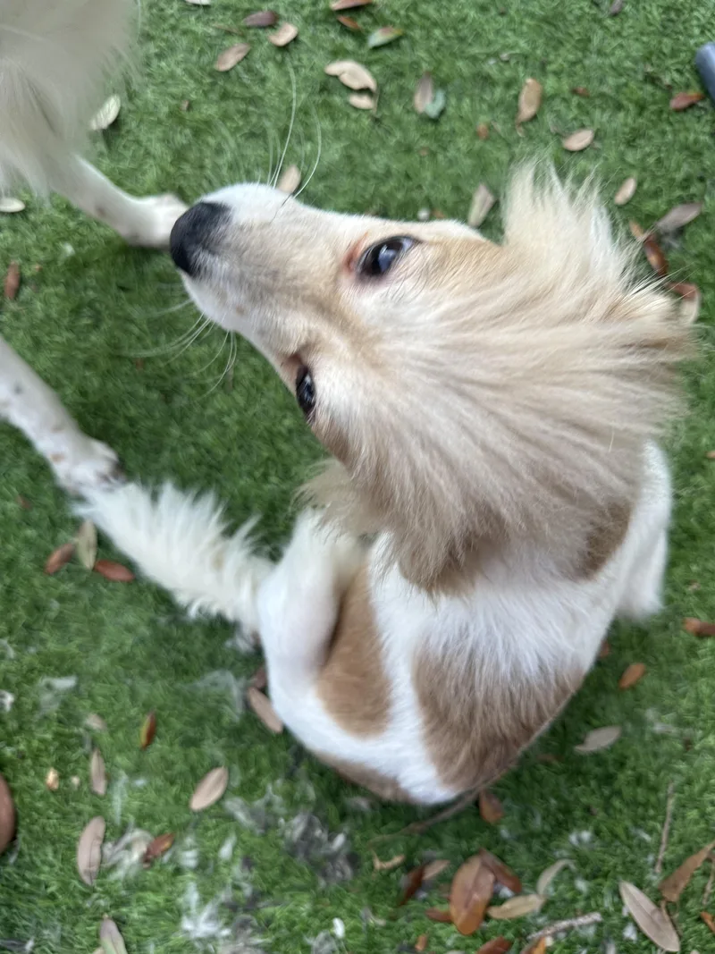 Ella Mae thumbnail 2