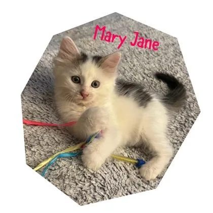 Mary Jane