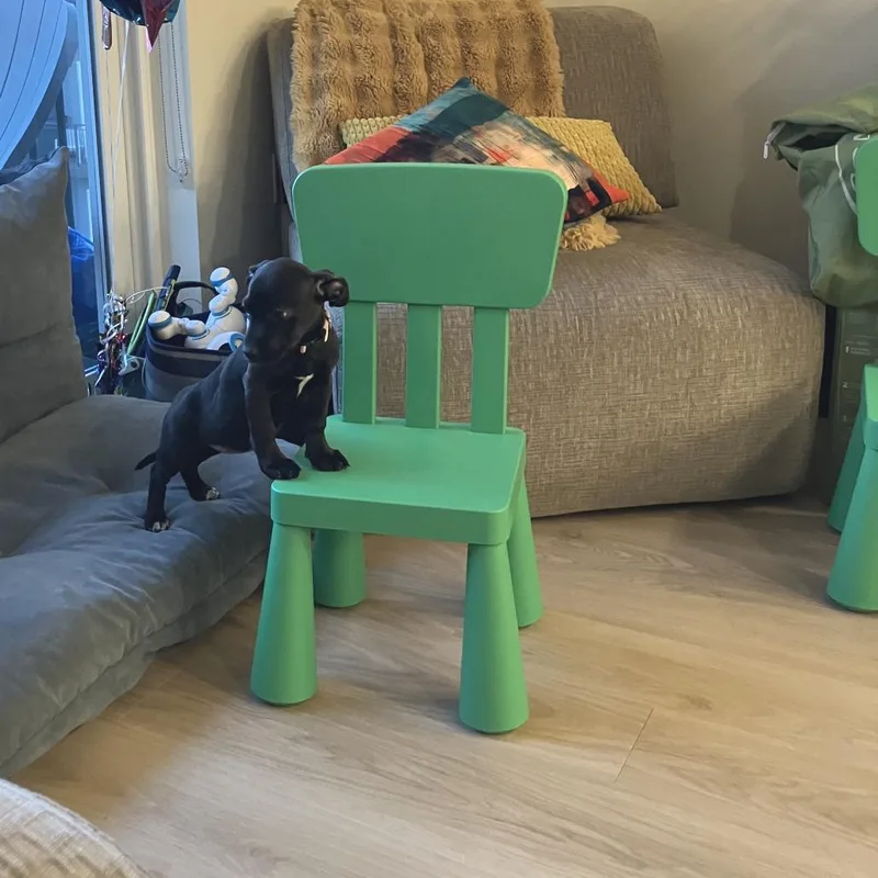 Pippa D thumbnail 5