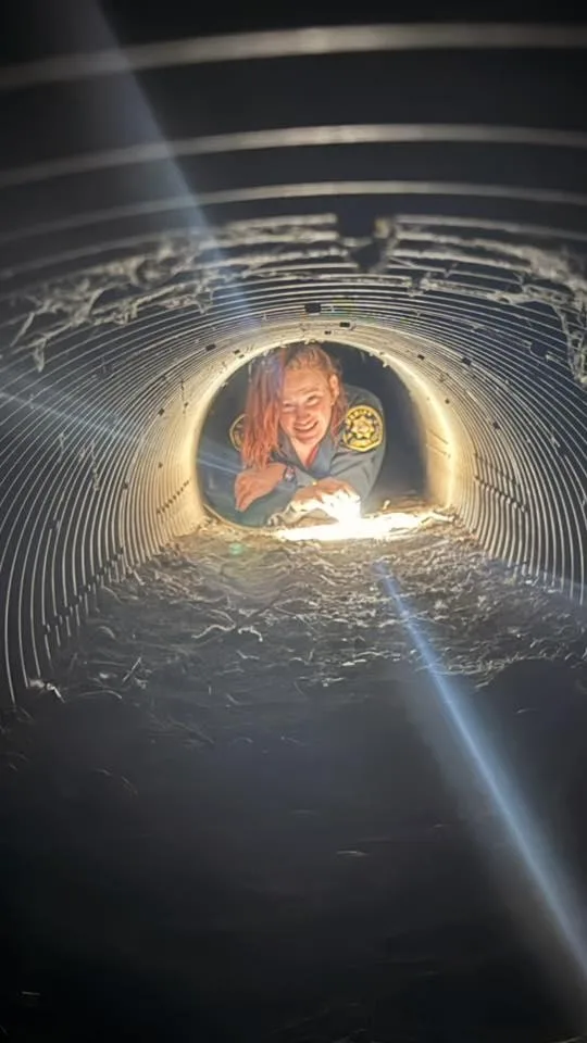 Cheyenne thumbnail 5