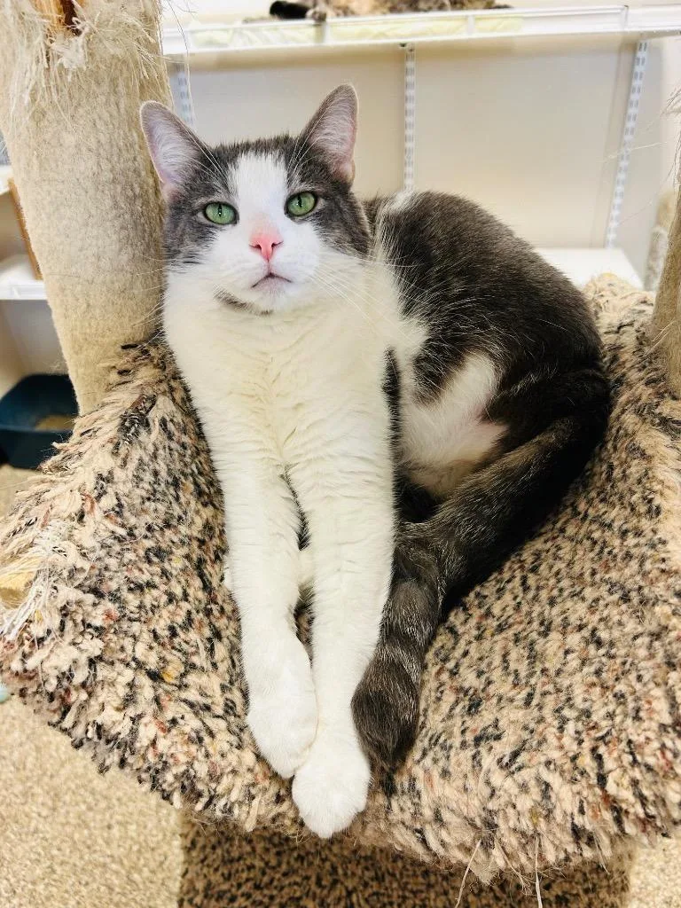 Survivor thumbnail 2