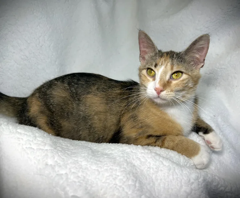 Lucy Aka Lucy Lou thumbnail 2