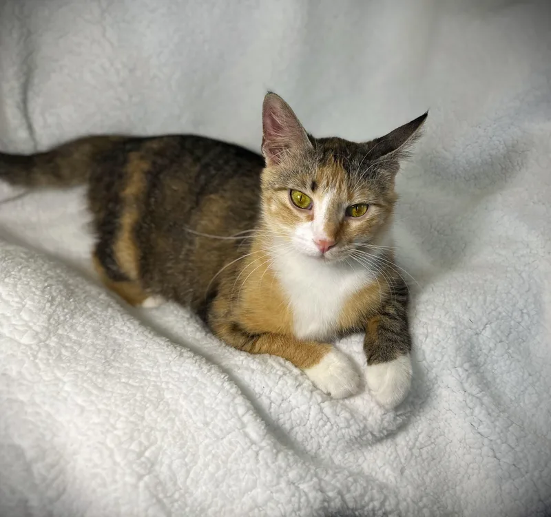 Lucy Aka Lucy Lou thumbnail 3