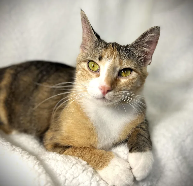 Lucy Aka Lucy Lou