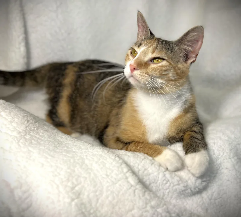 Lucy Aka Lucy Lou thumbnail 5