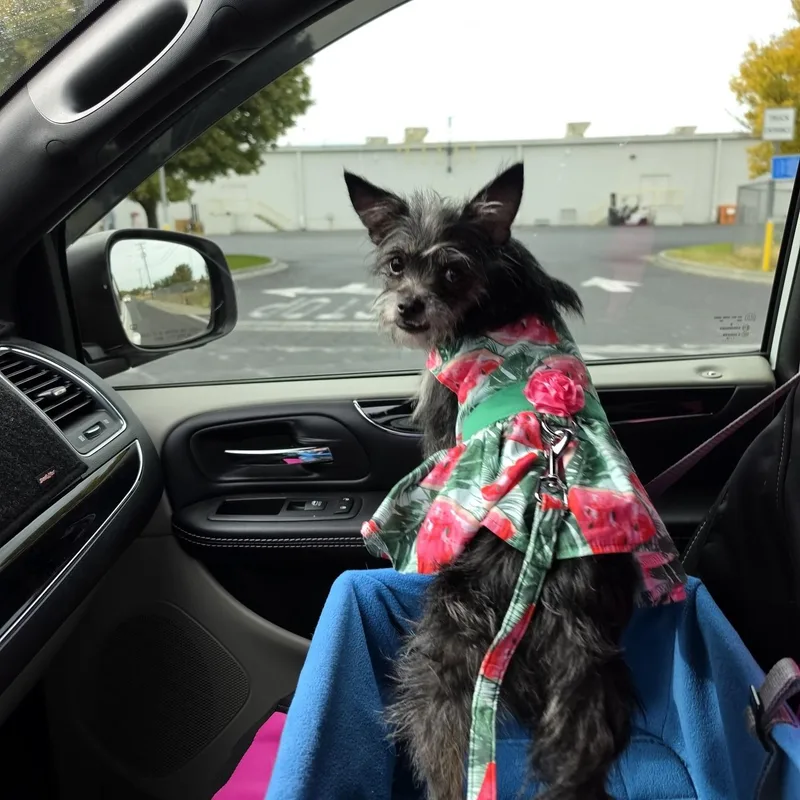 Chloe thumbnail 3