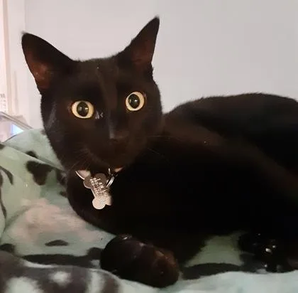 Tara  `a Priority thumbnail 2