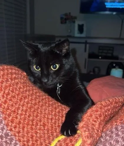 Tara  `a Priority thumbnail 3