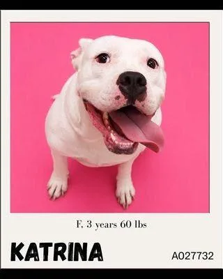 Katrina