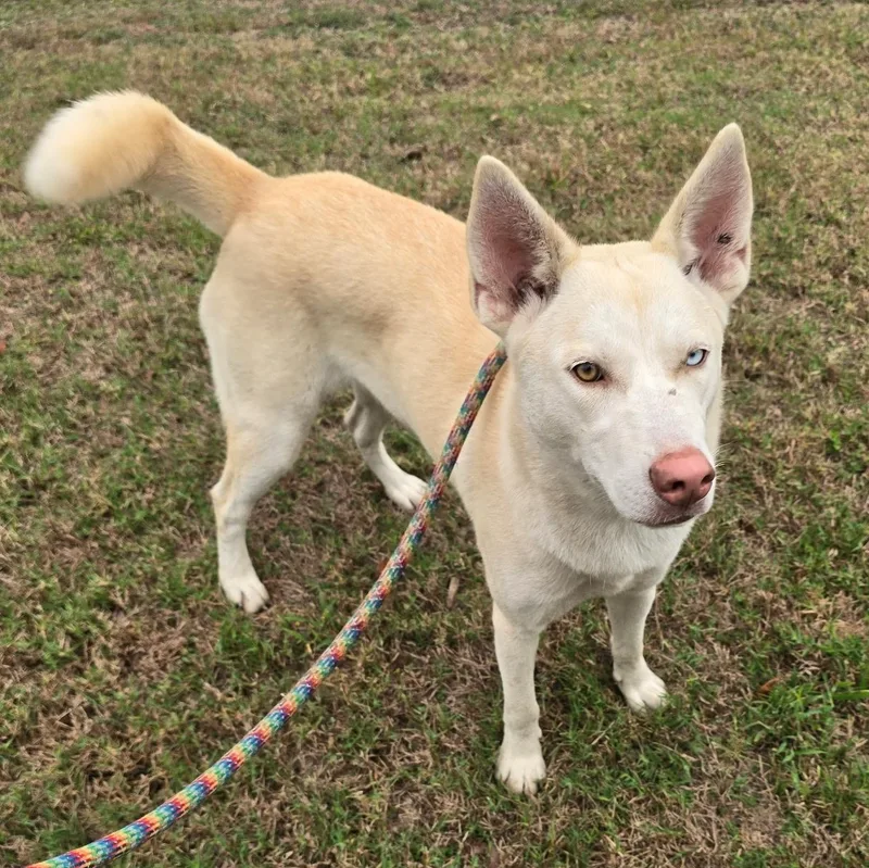 Sassy Girl thumbnail 3