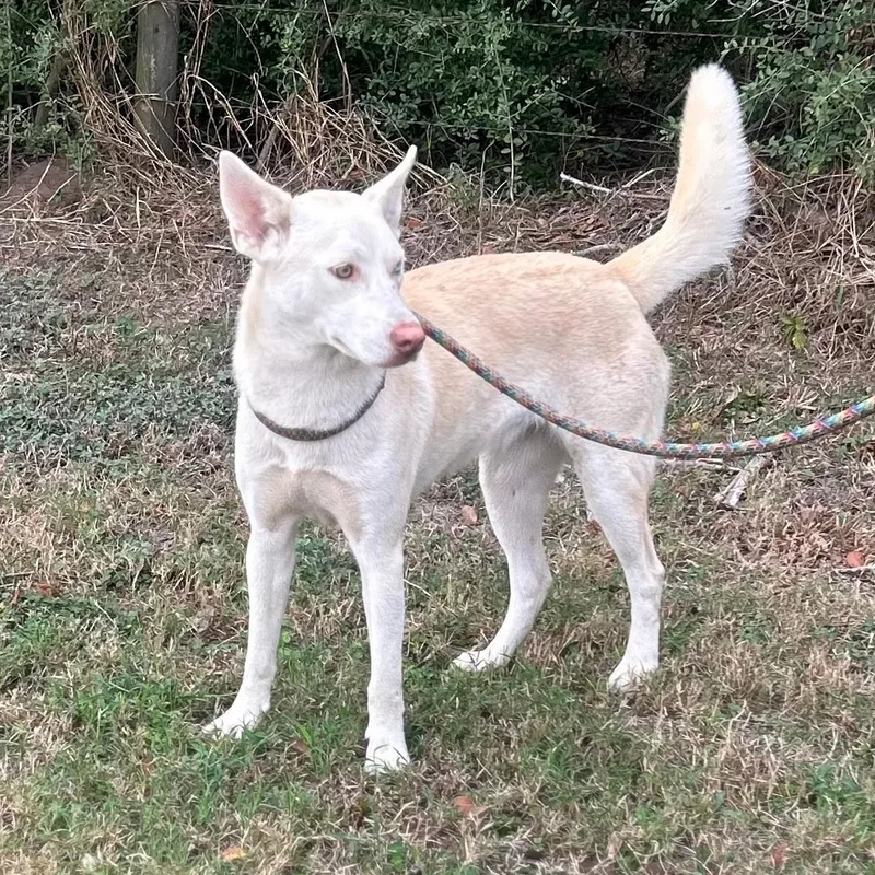 Sassy Girl thumbnail 5