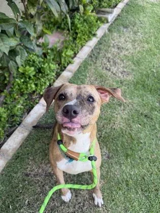 Mandarin thumbnail 2